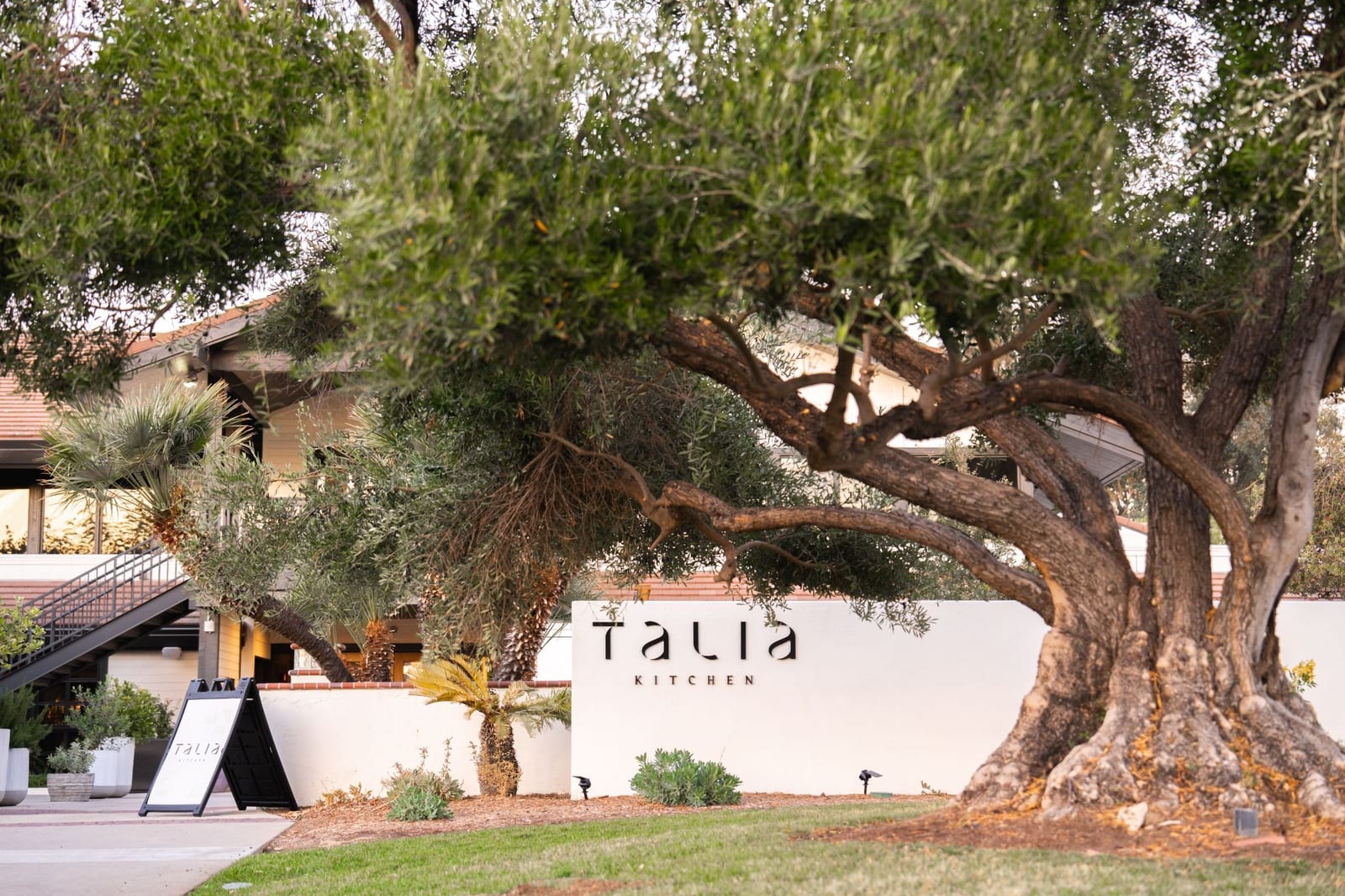 Chef Matt Steffen Elevates Wellness Dining at Murrieta Hot Springs Resort