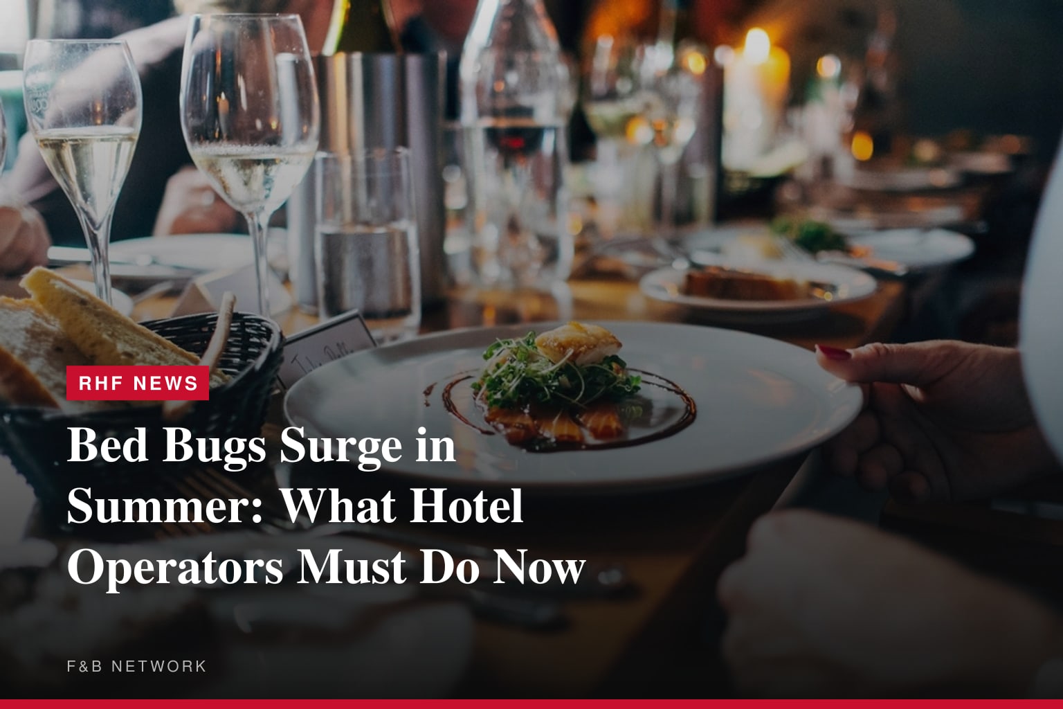Don't Let Bed Bugs Check In This Summer: What Every Traveler Needs to Know