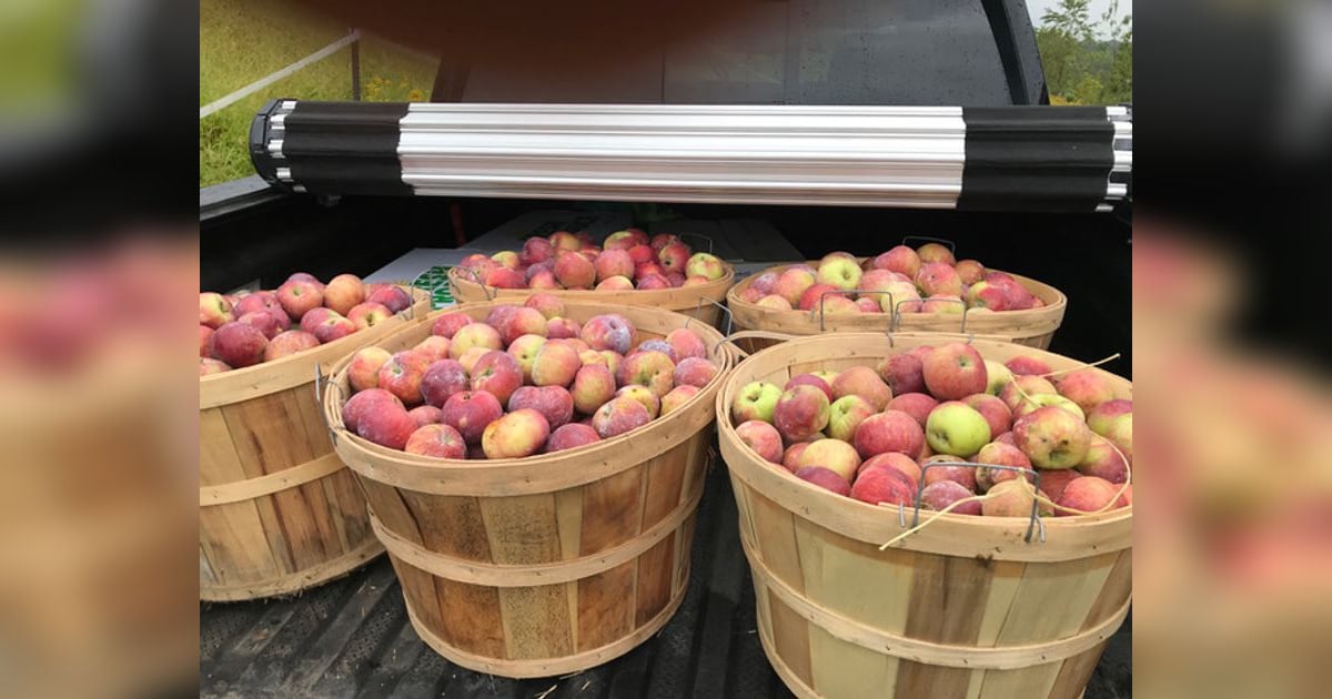 Farm Bar Launches Good Apple Days with Brown Dog Farm Harvest