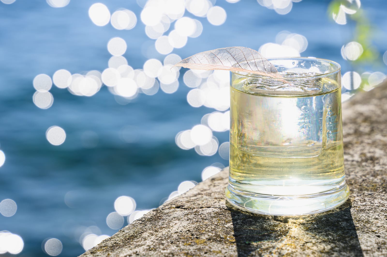 Grand Hotel Fasano Debuts Lake Garda–Inspired Cocktail Menu