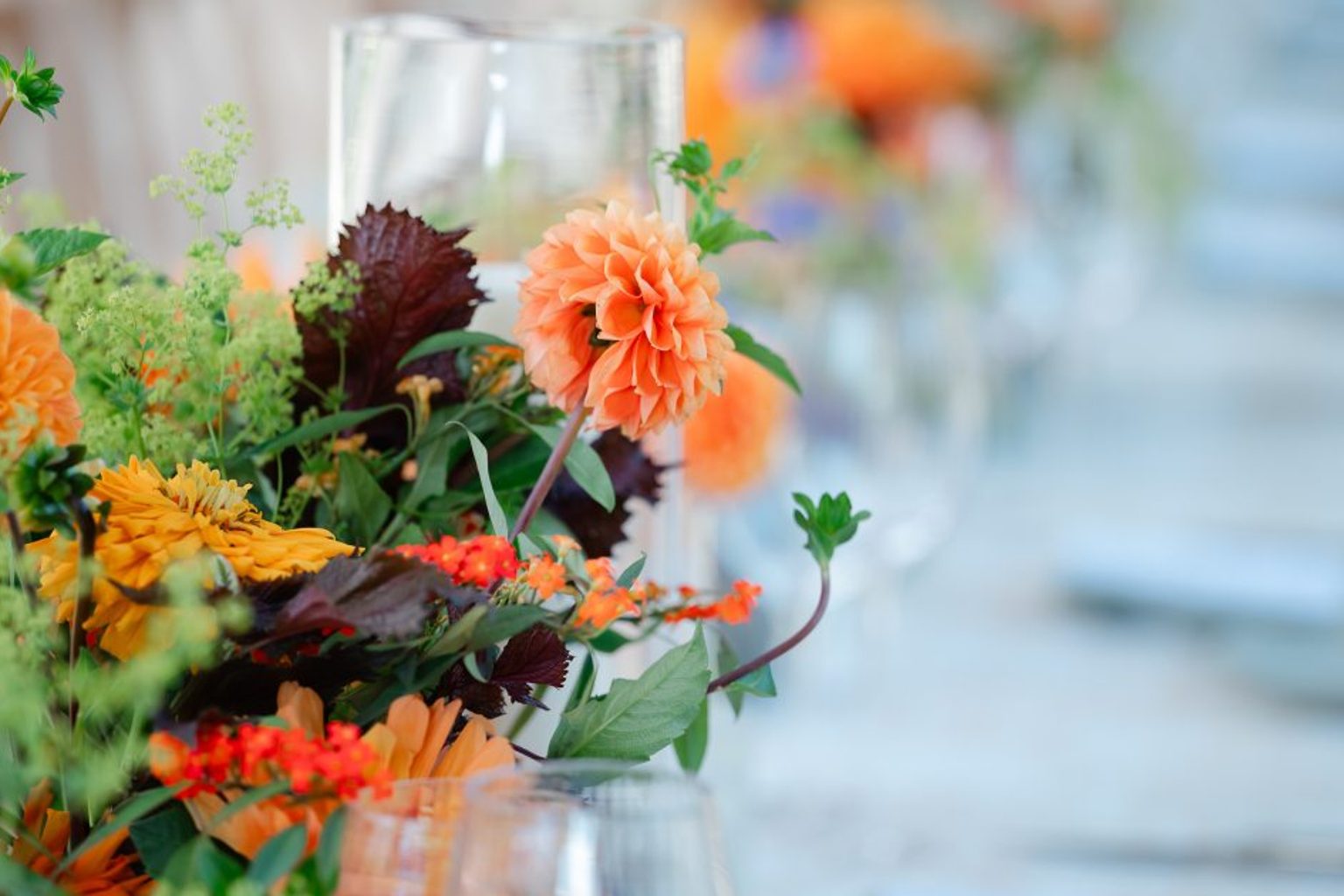 An Evening at Longwood, Featuring 1906, Benefits the James Beard Foundation