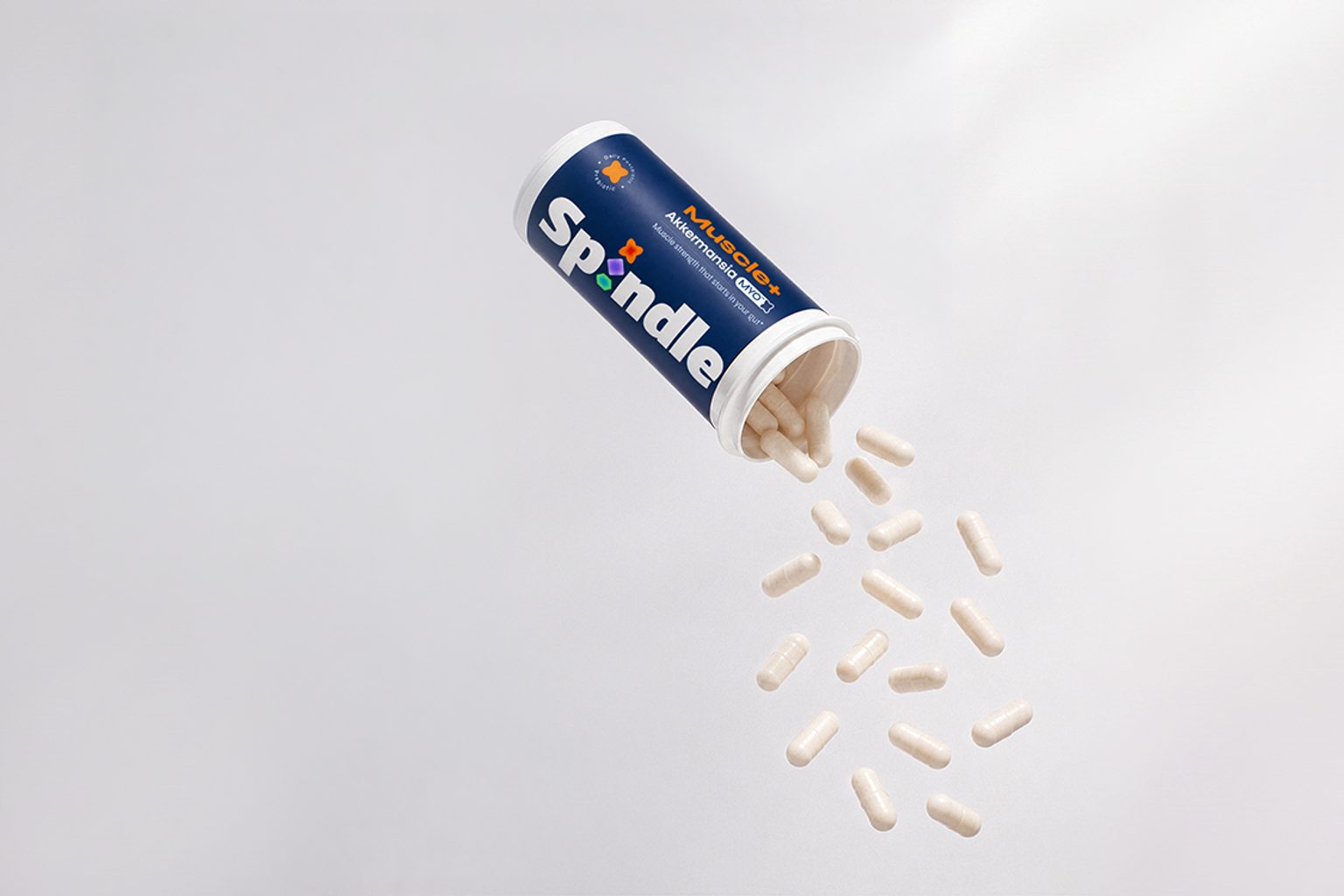 /C O R R E C T I O N -- SAMYANG AMERICA/
