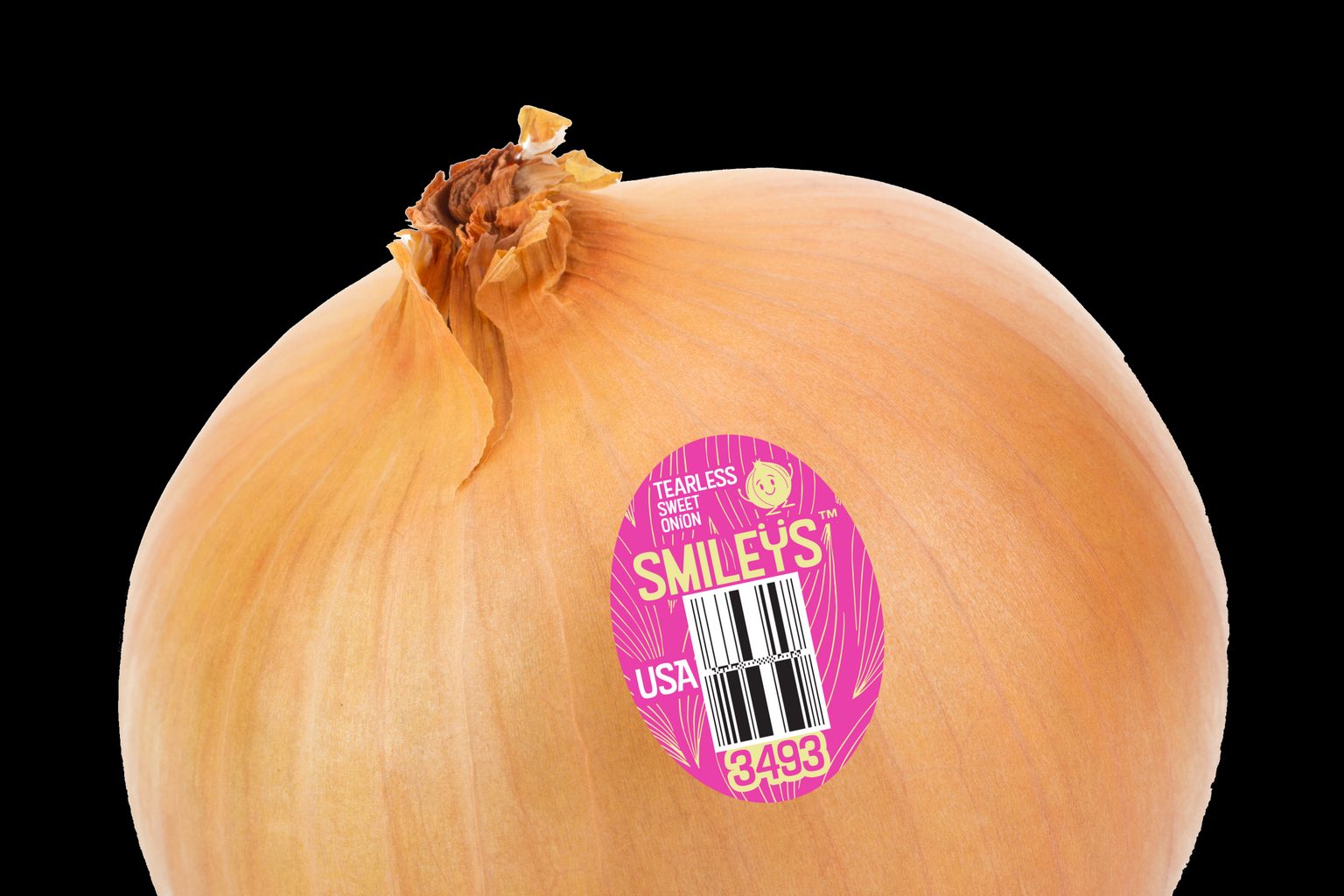 Smileys Onions — Food feature