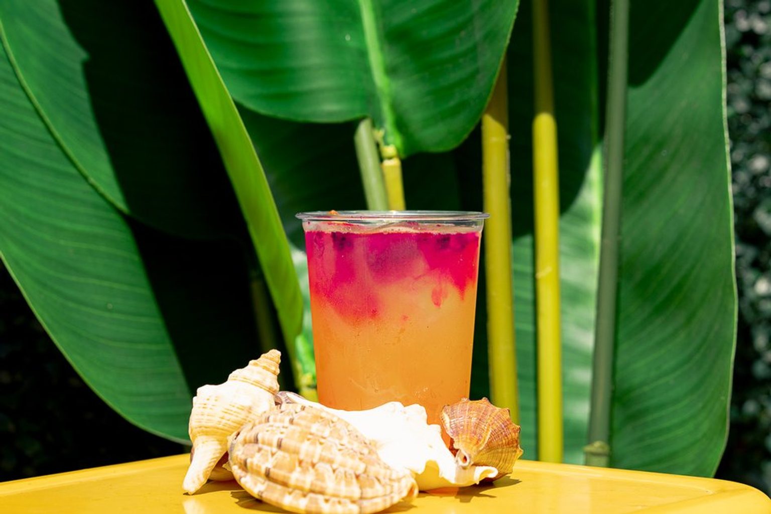 Sunfly Launches Drive-Thru Beverage Concept in Texas