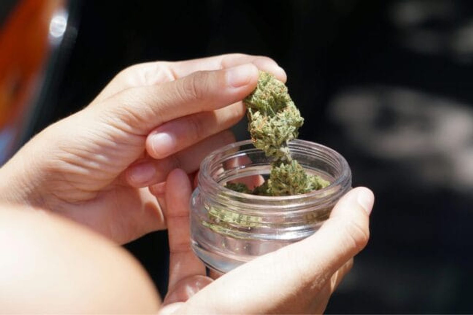Terrabis Flower Launches in Missouri